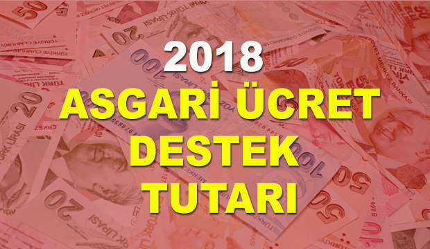 Asgari ücrete destek tutarı açıklandı! 2018 asgari ücrete kaç TL zam…